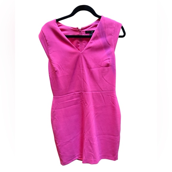 Banana Republic Vibrant Pink Dress. Fully lined. Size 10 Petite. NWOT - Picture 1 of 10